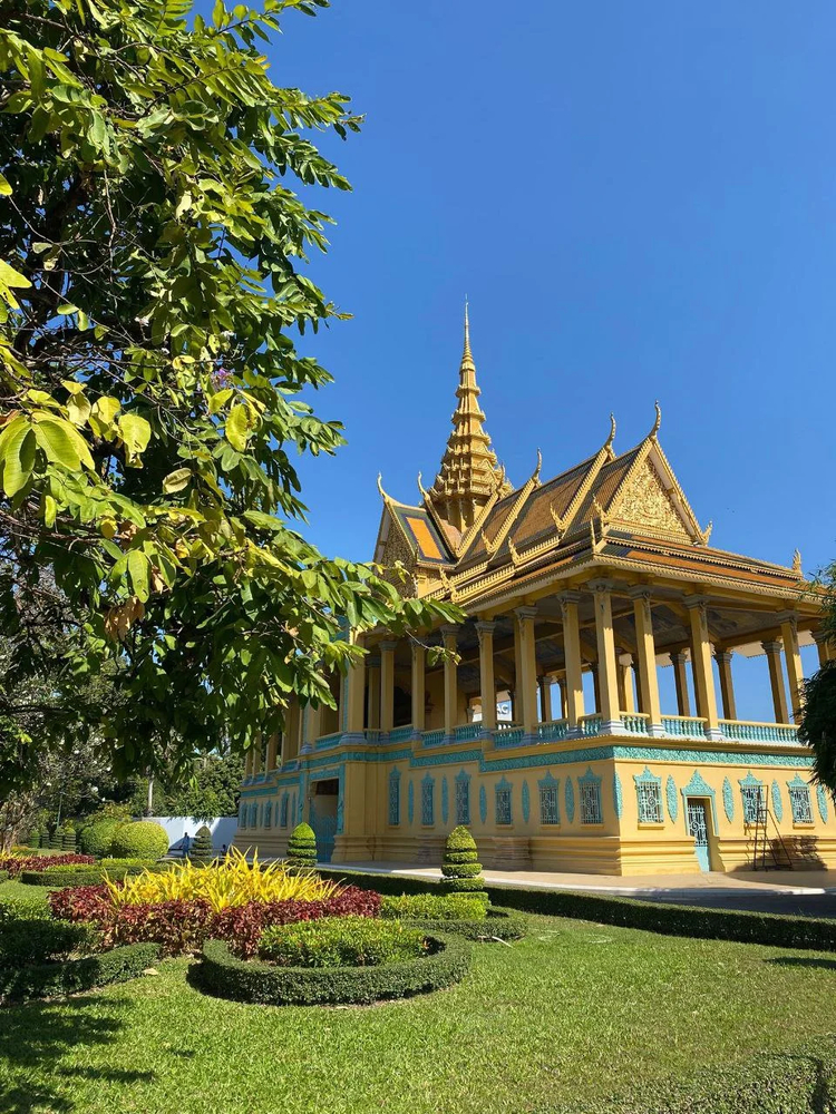Cover media image