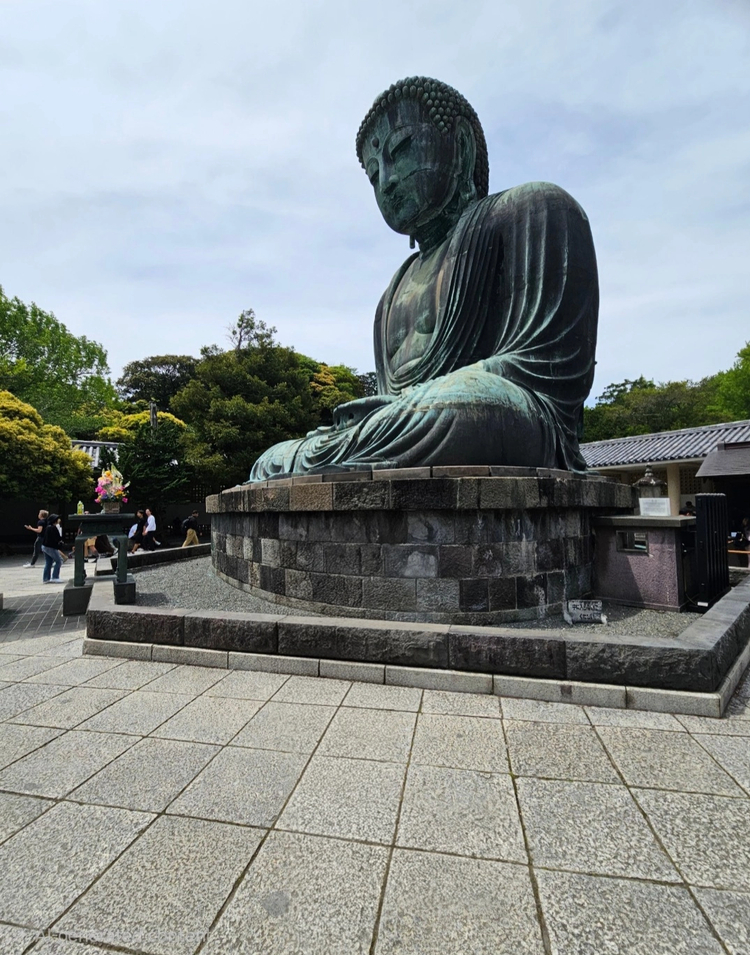 Cover media image