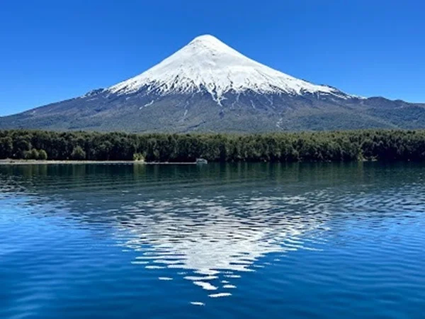 Cover media image