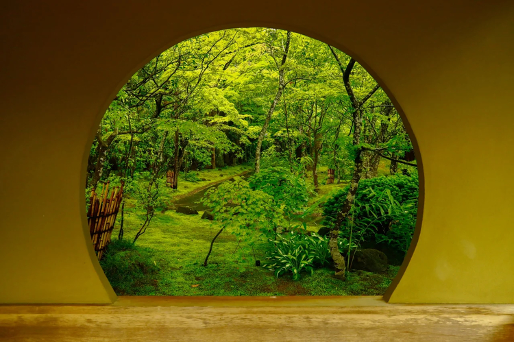 Cover media image