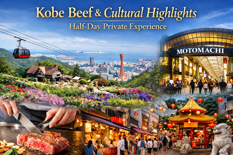 Cover media image