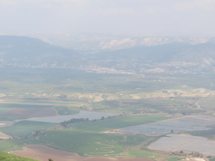 Cover media image