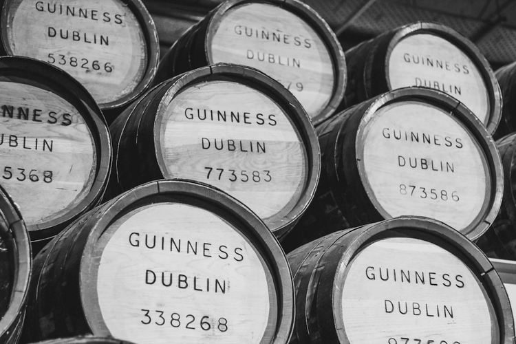 Iconic Dublin: Half-Day Private Driving Tour with Panoramic Stops