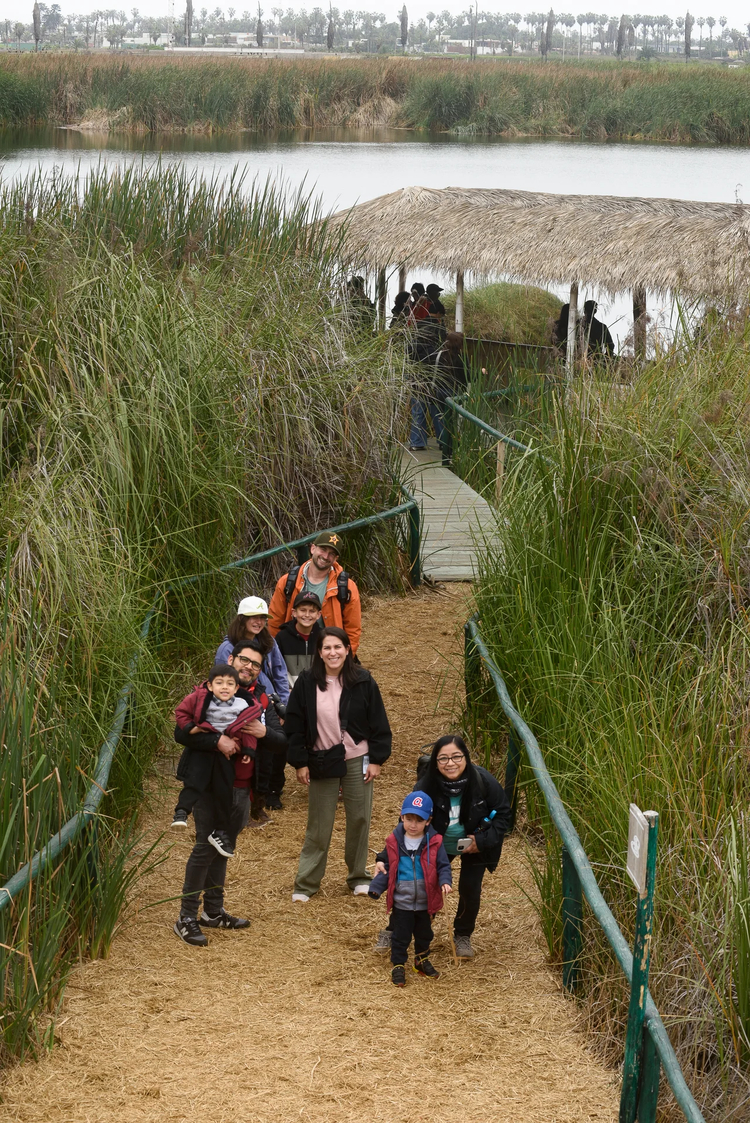 Cover media image