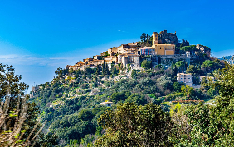 Cover media image