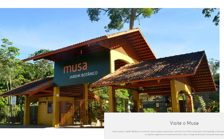 Cover media image