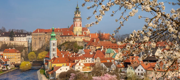 Cover media image