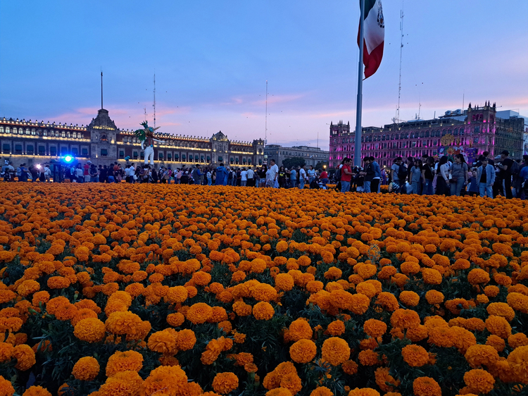 Cover media image