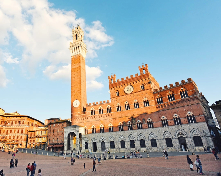 Classic Chianti and Siena: Day Trip with Private Vehicle from Florence