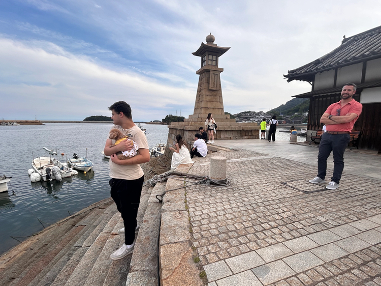 Cover media image