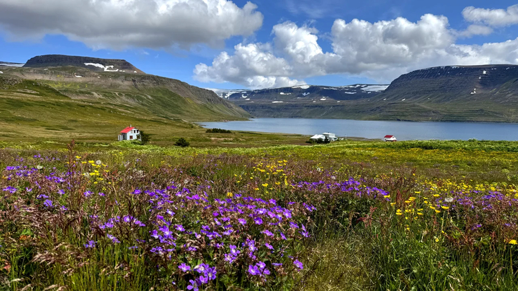 Cover media image