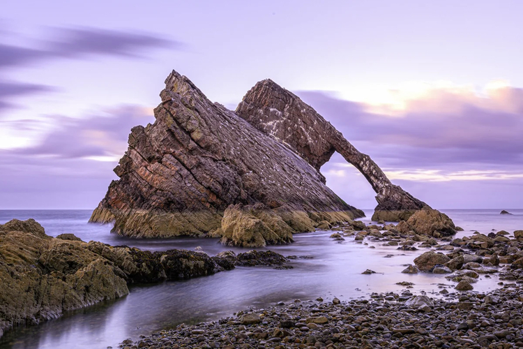 Cover media image