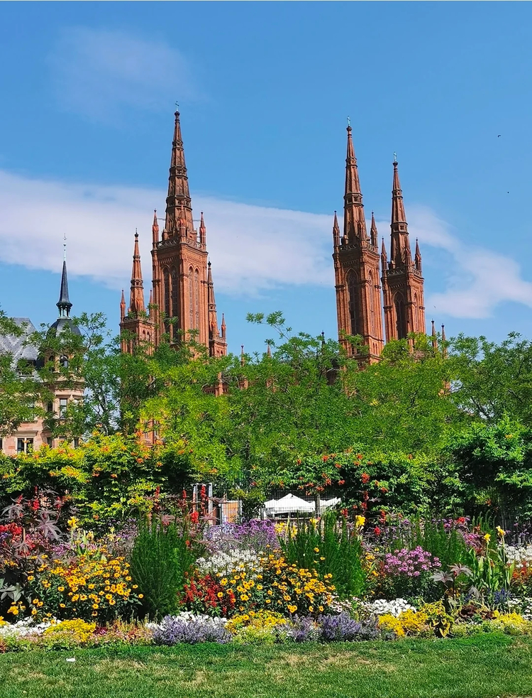 Cover media image