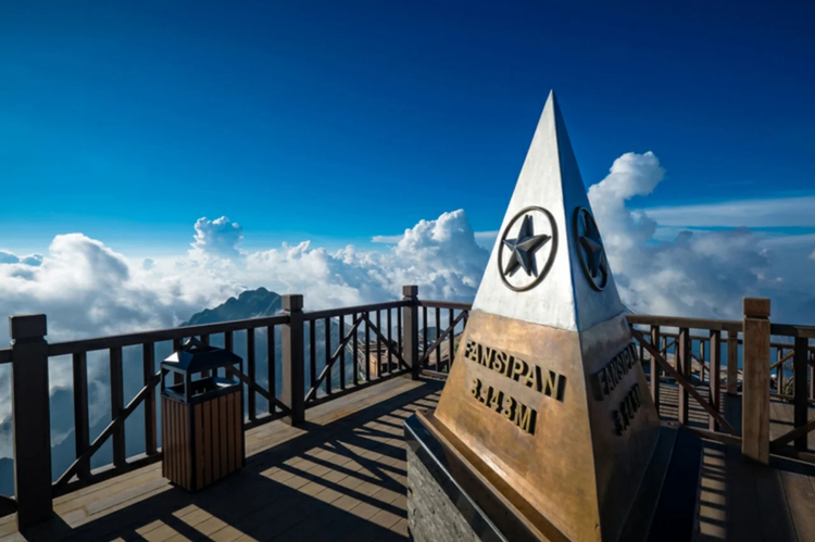 Cover media image
