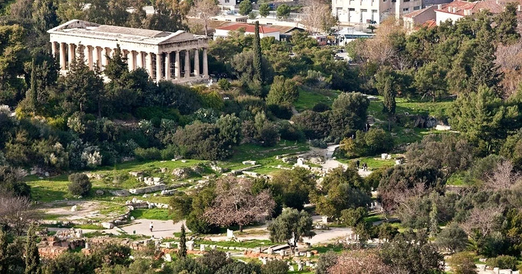 Cover media image