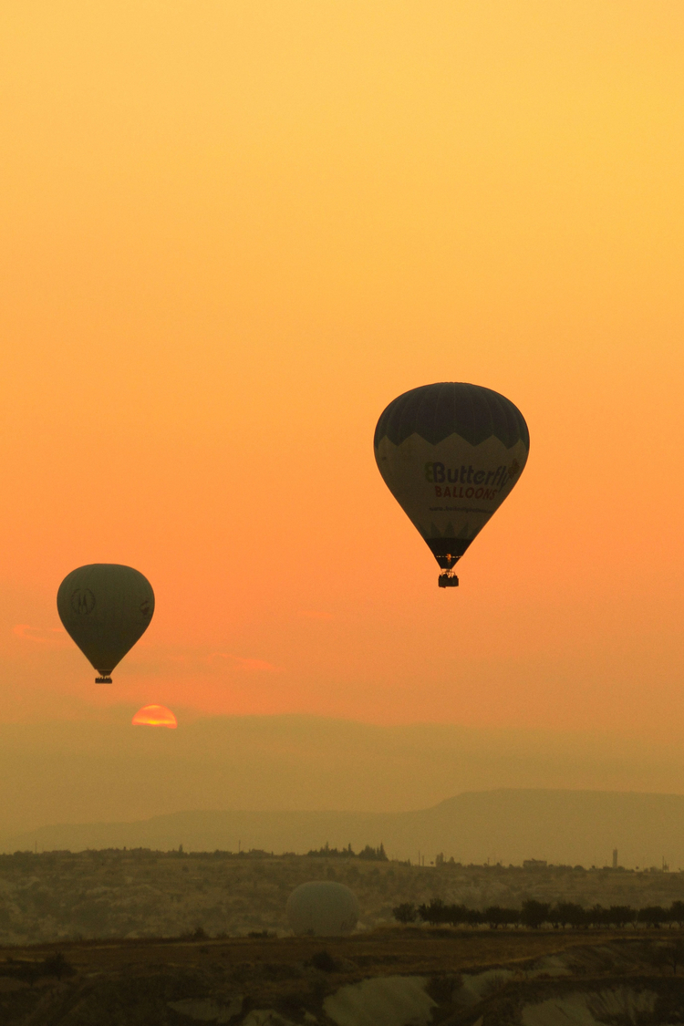 Cover media image