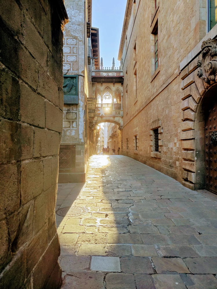 Cover media image