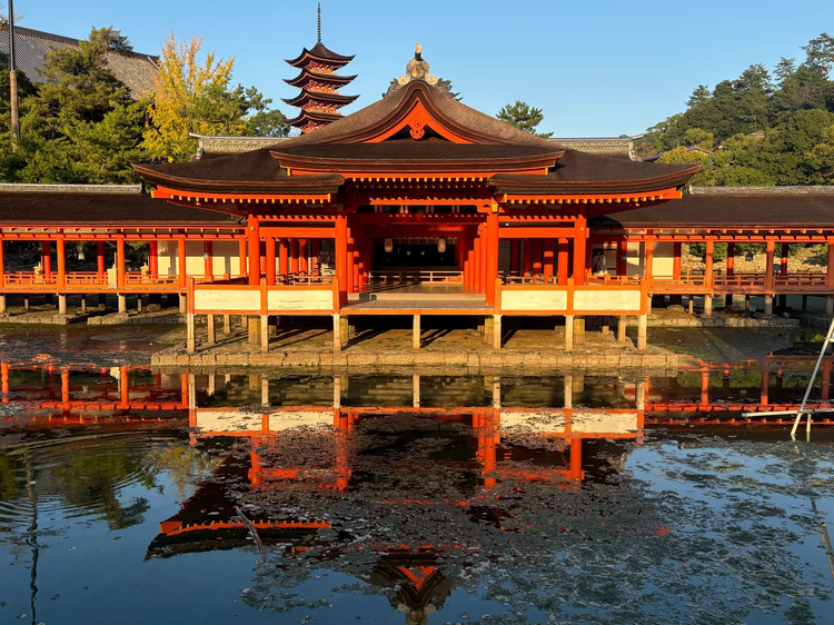 Cover media image