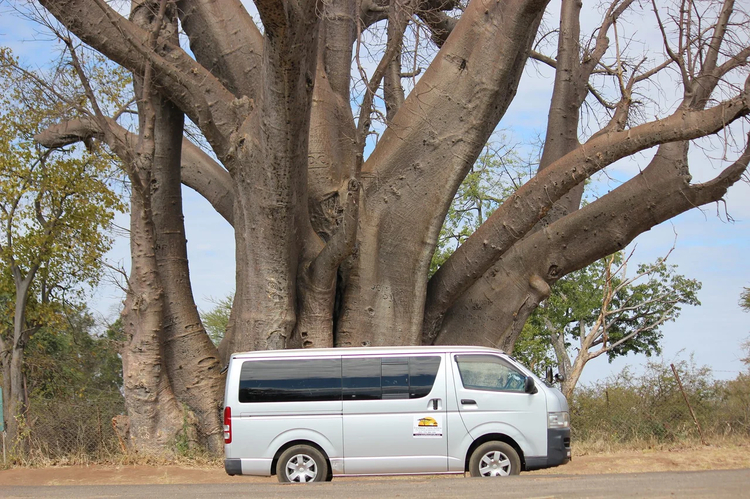 Cover media image