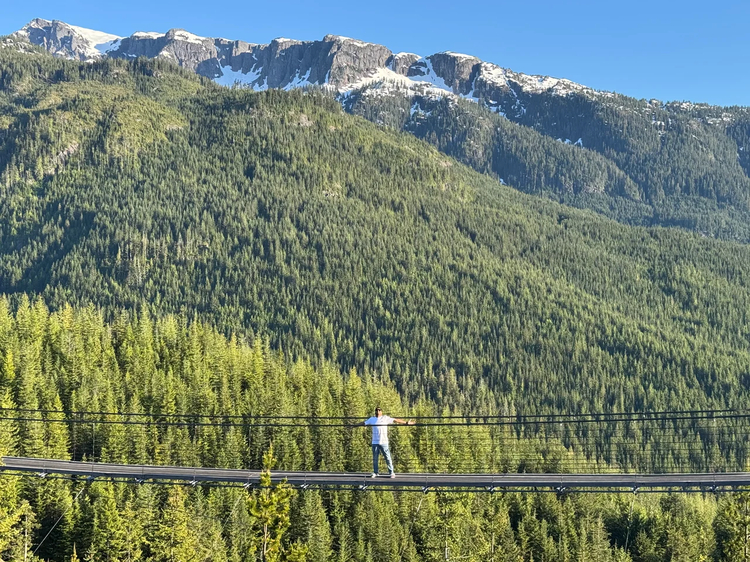 Cover media image