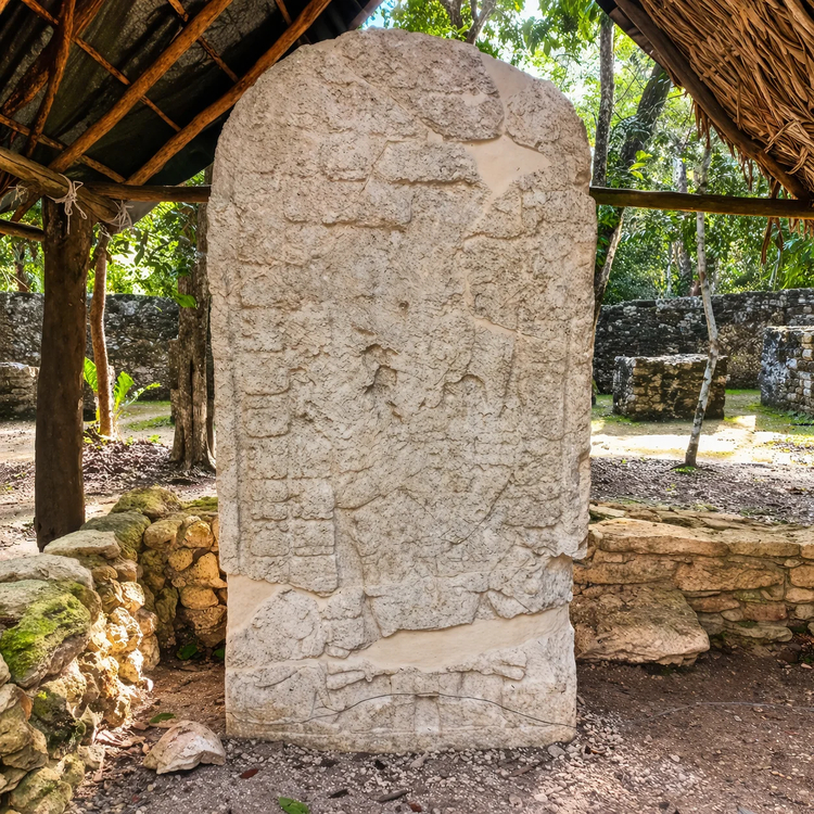 Cover media image