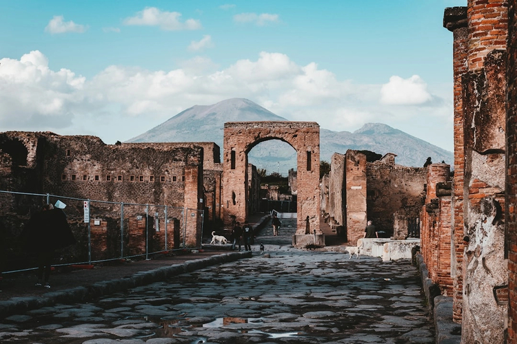 Iconic Pompeii: Half-Day Private Driving Tour with Panoramic Stops
