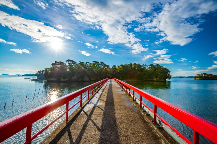 Cover media image