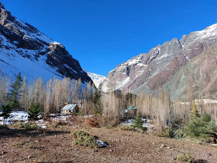 Cover media image