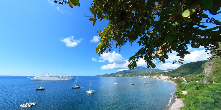 Cover media image