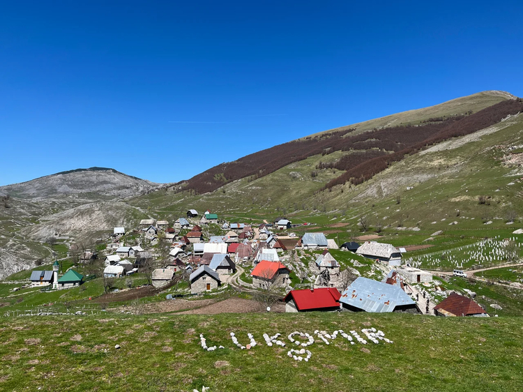 Cover media image