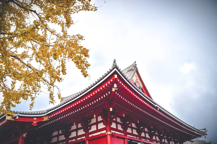 Essential Tokyo: Half-Day Walking Tour of the Major Highlights