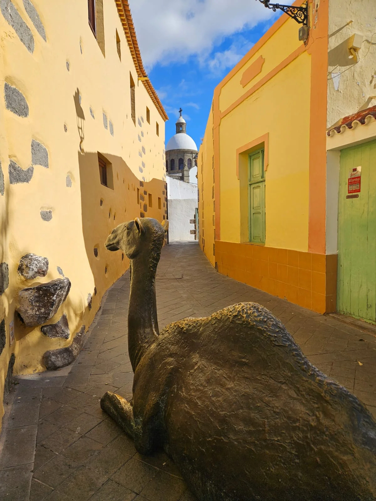 Cover media image