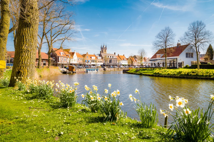 Cover media image