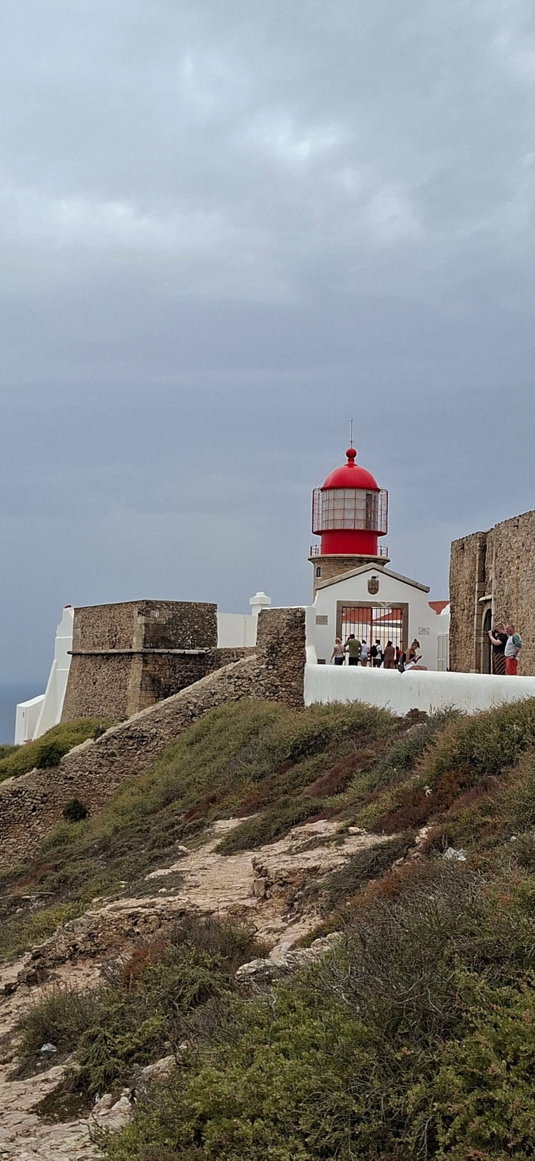Cover media image