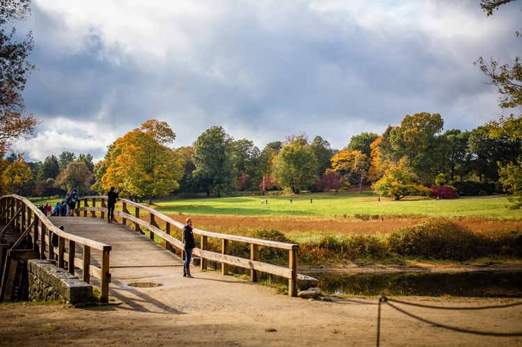 Cover media image