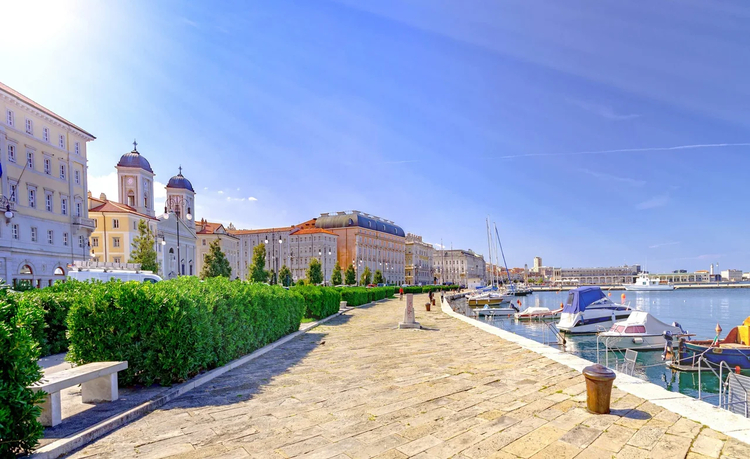 Cover media image