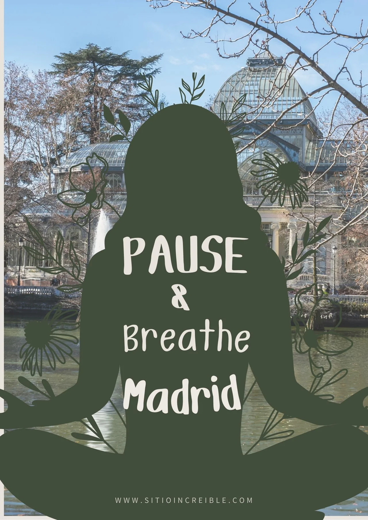 Cover media image
