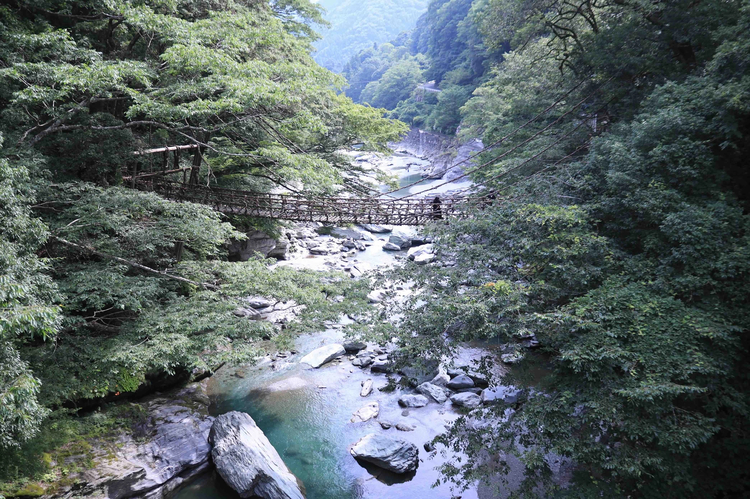 Cover media image