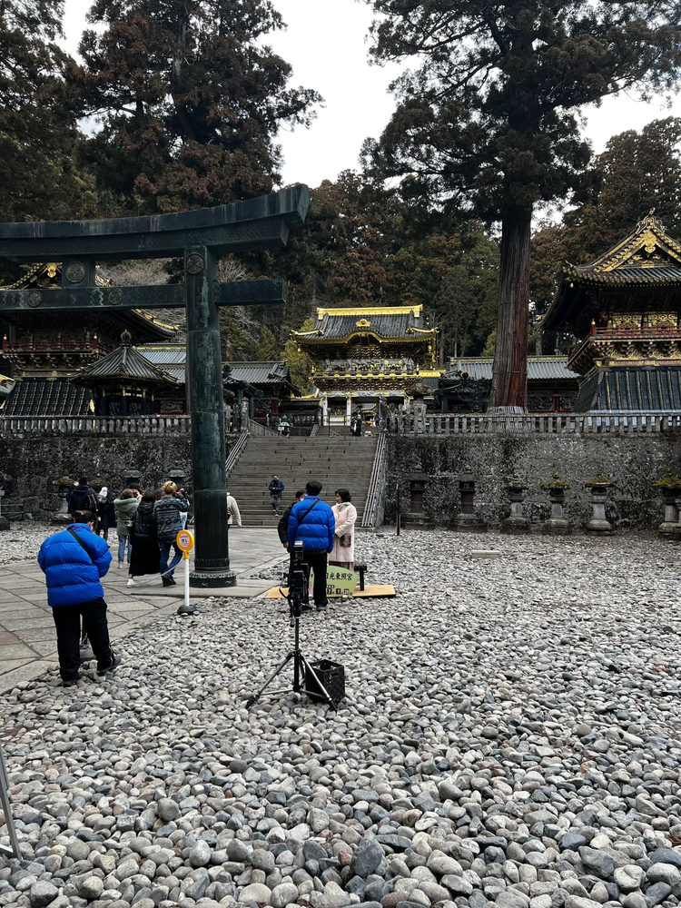 Cover media image