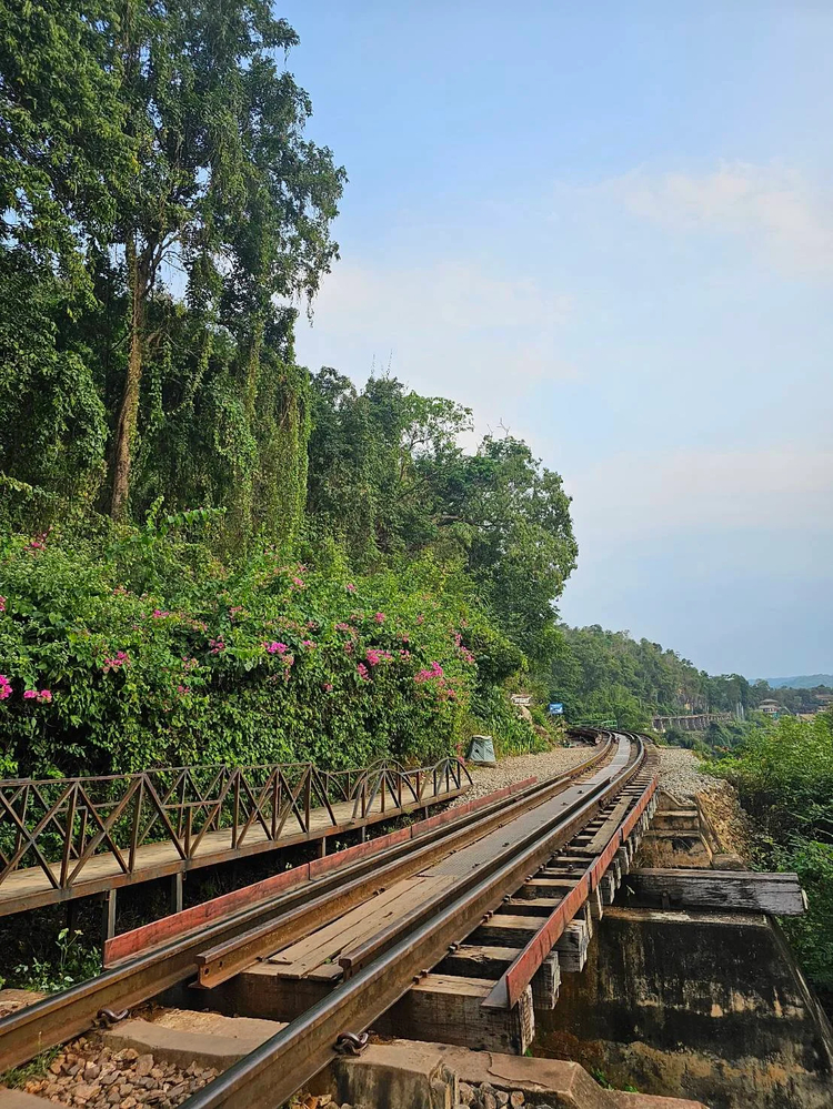 Cover media image