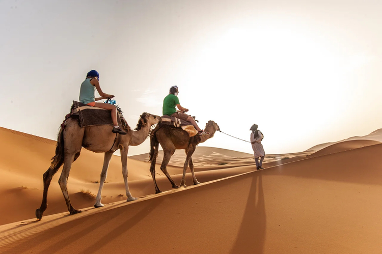 Cover media image