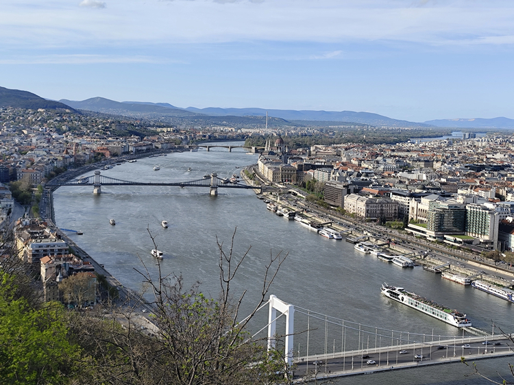 Cover media image