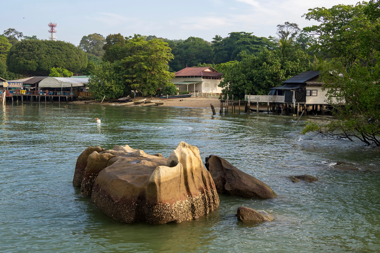 Cover media image