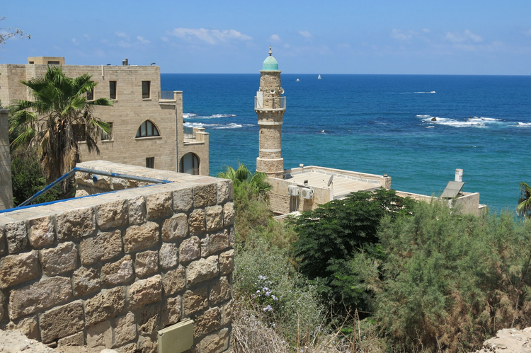 Cover media image
