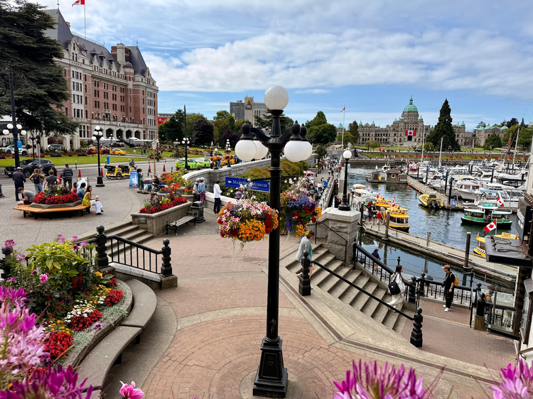 Cover media image