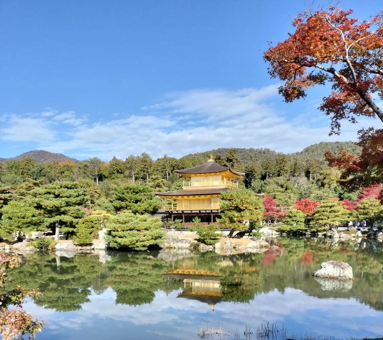 Cover media image