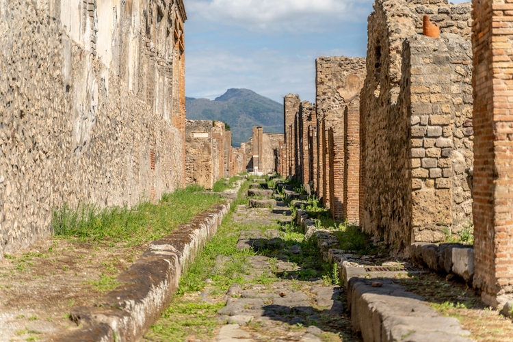 Ultimate Pompeii: Full-Day Private Driving Tour from Highlights to Hidden Layers