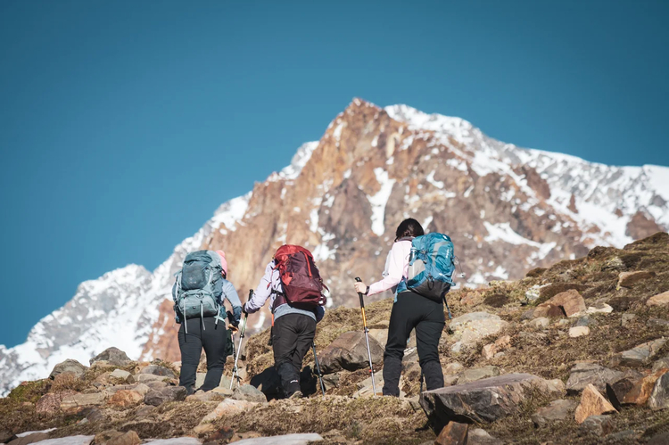 Cover media image