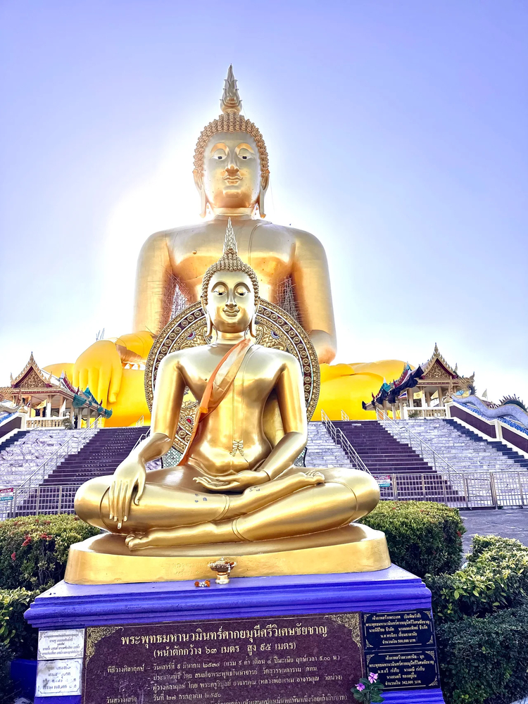 Cover media image