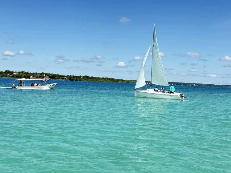 Cover media image